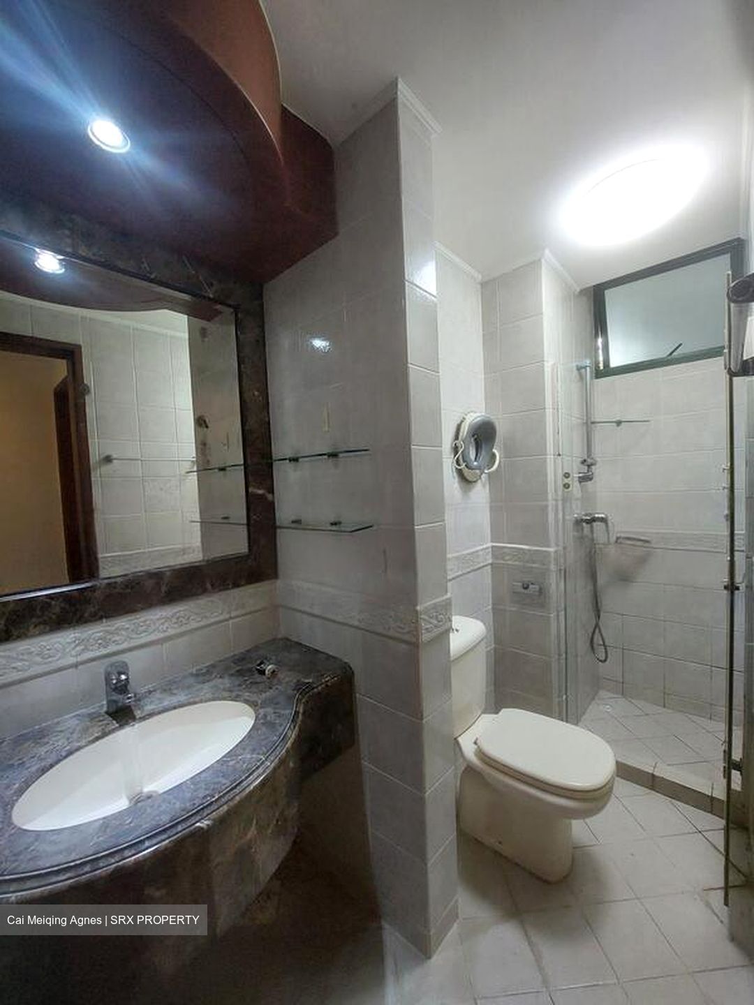 Signature Park (D21), Condominium #489127321